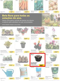 Builders Matola & Marginal : Pool & Garden Maintenance Made Easy (03 January - 23 January 2023), page 2