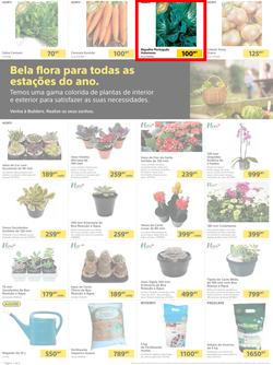 Builders Matola & Marginal : Pool & Garden Maintenance Made Easy (03 January - 23 January 2023), page 2