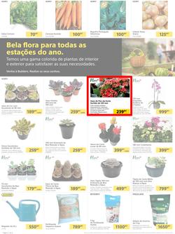 Builders Matola & Marginal : Pool & Garden Maintenance Made Easy (03 January - 23 January 2023), page 2