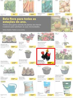 Builders Matola & Marginal : Pool & Garden Maintenance Made Easy (03 January - 23 January 2023), page 2