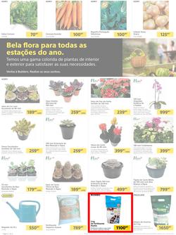 Builders Matola & Marginal : Pool & Garden Maintenance Made Easy (03 January - 23 January 2023), page 2