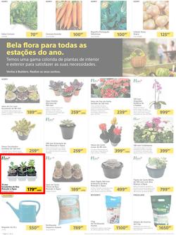 Builders Matola & Marginal : Pool & Garden Maintenance Made Easy (03 January - 23 January 2023), page 2