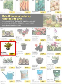 Builders Matola & Marginal : Pool & Garden Maintenance Made Easy (03 January - 23 January 2023), page 2