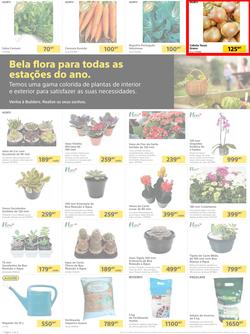 Builders Matola & Marginal : Pool & Garden Maintenance Made Easy (03 January - 23 January 2023), page 2