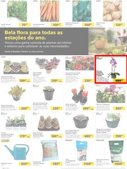 Builders Matola & Marginal : Pool & Garden Maintenance Made Easy (03 January - 23 January 2023), page 2