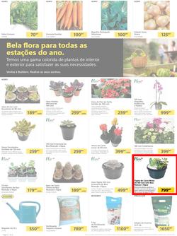 Builders Matola & Marginal : Pool & Garden Maintenance Made Easy (03 January - 23 January 2023), page 2