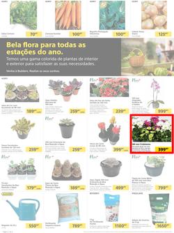 Builders Matola & Marginal : Pool & Garden Maintenance Made Easy (03 January - 23 January 2023), page 2