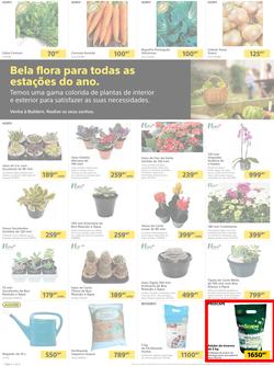 Builders Matola & Marginal : Pool & Garden Maintenance Made Easy (03 January - 23 January 2023), page 2