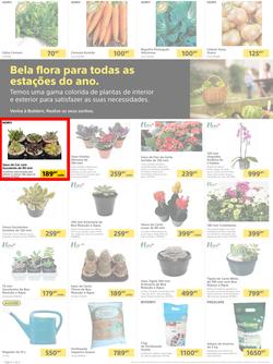 Builders Matola & Marginal : Pool & Garden Maintenance Made Easy (03 January - 23 January 2023), page 2