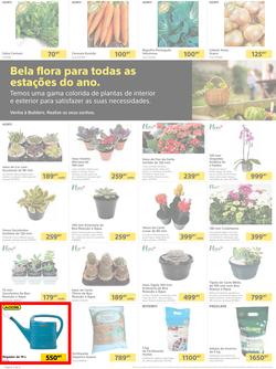 Builders Matola & Marginal : Pool & Garden Maintenance Made Easy (03 January - 23 January 2023), page 2