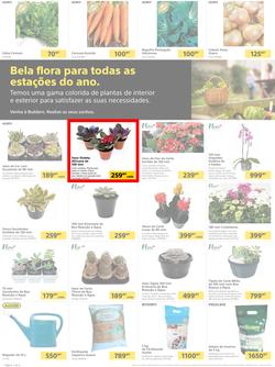 Builders Matola & Marginal : Pool & Garden Maintenance Made Easy (03 January - 23 January 2023), page 2