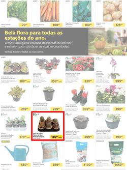 Builders Matola & Marginal : Pool & Garden Maintenance Made Easy (03 January - 23 January 2023), page 2