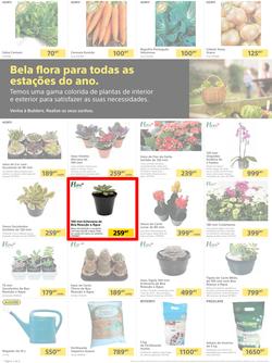 Builders Matola & Marginal : Pool & Garden Maintenance Made Easy (03 January - 23 January 2023), page 2