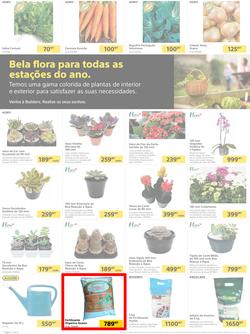 Builders Matola & Marginal : Pool & Garden Maintenance Made Easy (03 January - 23 January 2023), page 2