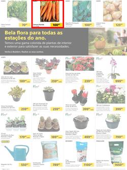 Builders Matola & Marginal : Pool & Garden Maintenance Made Easy (03 January - 23 January 2023), page 2