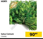 Horti Salsa Comum