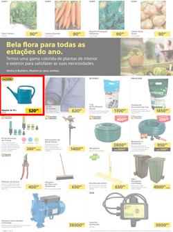 Builders Tete : Pool & Garden Maintenance Made Easy (03 January - 23 January 2023), page 2