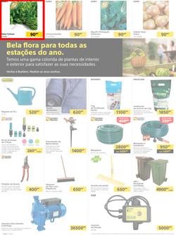 Builders Tete : Pool & Garden Maintenance Made Easy (03 January - 23 January 2023), page 2