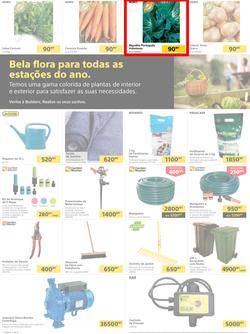 Builders Tete : Pool & Garden Maintenance Made Easy (03 January - 23 January 2023), page 2