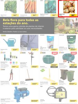Builders Tete : Pool & Garden Maintenance Made Easy (03 January - 23 January 2023), page 2