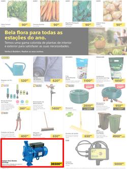 Builders Tete : Pool & Garden Maintenance Made Easy (03 January - 23 January 2023), page 2