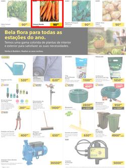 Builders Tete : Pool & Garden Maintenance Made Easy (03 January - 23 January 2023), page 2