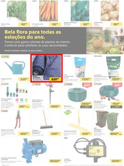Builders Tete : Pool & Garden Maintenance Made Easy (03 January - 23 January 2023), page 2