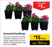 Assorted Seedlings-Per Tray