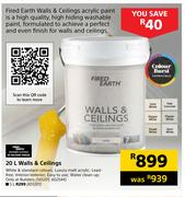 Fired Earth Walls & Ceilings-20L
