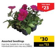 Assorted Seedlings-6 Per Tray