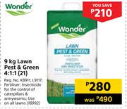 Wonder Lawn Pest & Green 4:1:1 (21)-9kg