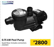 Blue Chem 0.75KW Pool Pump