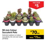 90 mm Color Succulent Pots-Each