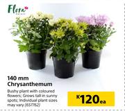 Flora 140mm Chrysanthemum-Each