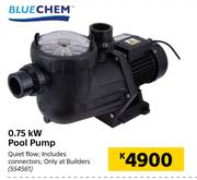Blue Chem 0.75KW Pool Pump