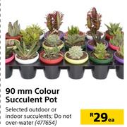 90mm Colour Succulent Pot-Each