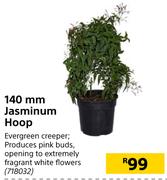 140mm Jasminum Hoop