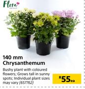 Flora 140mm Chrysanthemum-Each