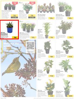 Builders : Here's To Colourful Gardens, Sparkling Pools & Sizzling Braais (06 September - 17 October 2022), page 2