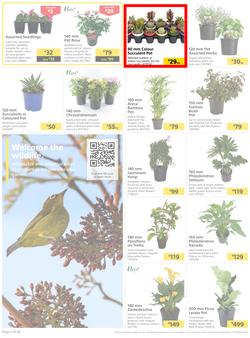 Builders : Here's To Colourful Gardens, Sparkling Pools & Sizzling Braais (06 September - 17 October 2022), page 2