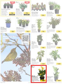 Builders : Here's To Colourful Gardens, Sparkling Pools & Sizzling Braais (06 September - 17 October 2022), page 2
