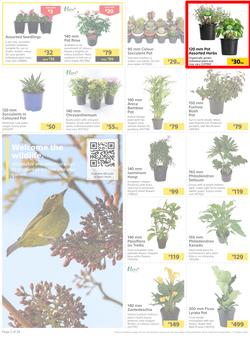 Builders : Here's To Colourful Gardens, Sparkling Pools & Sizzling Braais (06 September - 17 October 2022), page 2