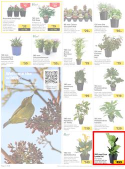 Builders : Here's To Colourful Gardens, Sparkling Pools & Sizzling Braais (06 September - 17 October 2022), page 2