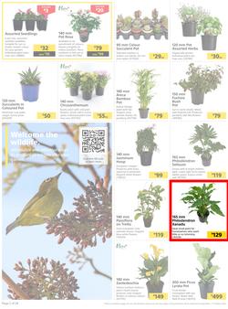 Builders : Here's To Colourful Gardens, Sparkling Pools & Sizzling Braais (06 September - 17 October 2022), page 2
