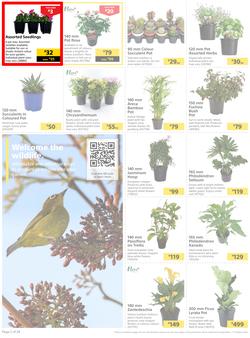 Builders : Here's To Colourful Gardens, Sparkling Pools & Sizzling Braais (06 September - 17 October 2022), page 2