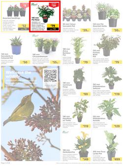 Builders : Here's To Colourful Gardens, Sparkling Pools & Sizzling Braais (06 September - 17 October 2022), page 2
