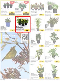 Builders : Here's To Colourful Gardens, Sparkling Pools & Sizzling Braais (06 September - 17 October 2022), page 2