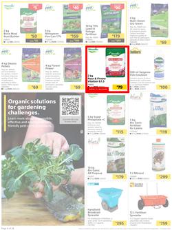Builders : Here's To Colourful Gardens, Sparkling Pools & Sizzling Braais (06 September - 17 October 2022), page 6