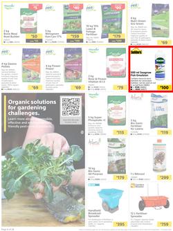 Builders : Here's To Colourful Gardens, Sparkling Pools & Sizzling Braais (06 September - 17 October 2022), page 6