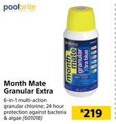 Pool Brite Month Mate Granular Extra